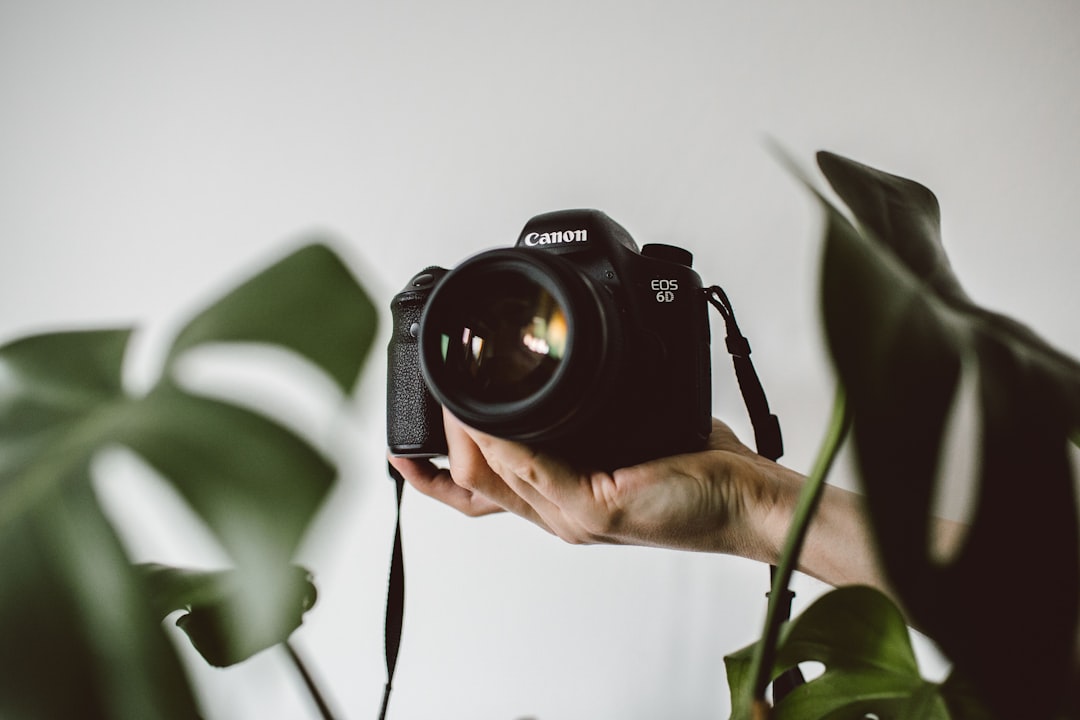 Eco-Friendly Photography: Snapshots with a Conscience