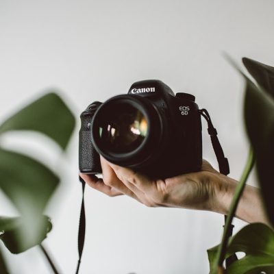 Eco-Friendly Photography: Snapshots with a Conscience